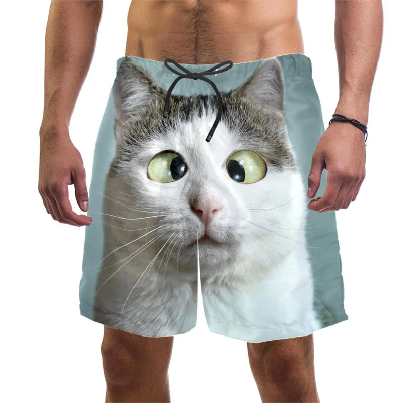 Nouveauté été : Short chino sl - Shorts Chino Slim avis et prix