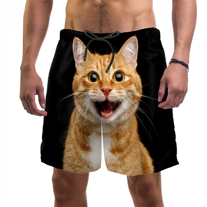 Nouveauté été : Short chino sl - Shorts Chino Slim avis et prix